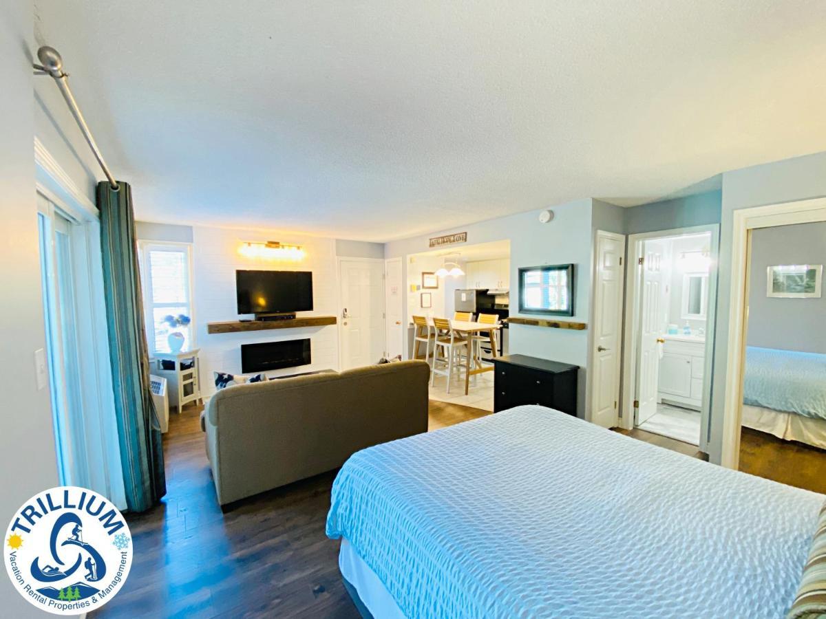Slopeside Blue Mountain Condo - Wifi, Linens/Towels, Ski In/Out Blue Mountains Kültér fotó