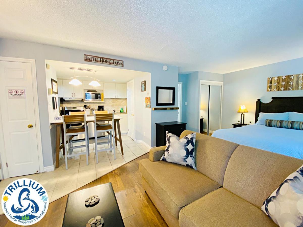Slopeside Blue Mountain Condo - Wifi, Linens/Towels, Ski In/Out Blue Mountains Kültér fotó